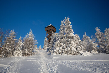 Winter morning in Gorce in Lubań. A beautiful moody morning with good light.