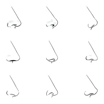 Nose Drawing Images – Browse 65,484 Stock Photos, Vectors, and Video |  Adobe Stock