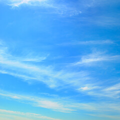 Blue sky with white, soft clouds.
