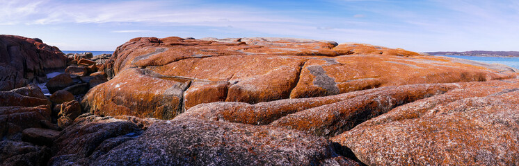 Huge orange lichen-cloaked boulders, Bay of Fires, Tasmania, Australia