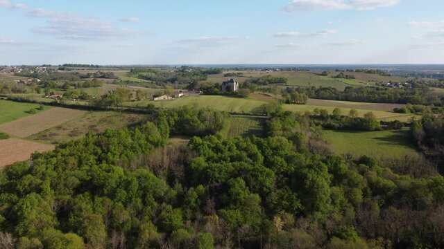 Aerial view of vineyard in spring, Bordeaux Vineyard, Gironde, France, High quality 4k footage