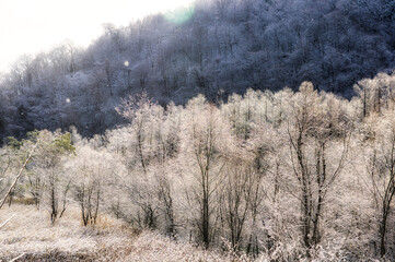 北海道　留萌市の風景達