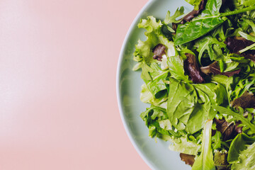 Green leaves for salad in a green plate on a pink background. Copy space. Vegetarian food. Healthy eating	
