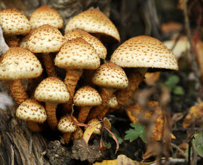 Get out! Explore and nurture our nature. 