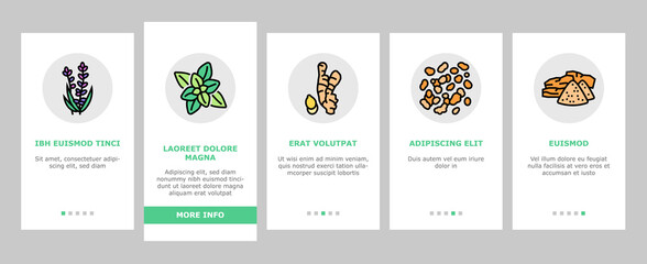 Aromatherapy Herbs Onboarding Mobile App Page Screen Vector. Lavender And Peppermint, Ginger And Frankincense, Patchouli And Chamomile Aromatherapy Illustrations