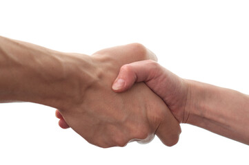 Female and male hands isolated white background showing handshake gesture, greetings.