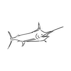 Hand drawn swordfish. Vector illustration in sketch style