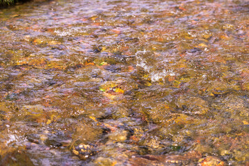 Spring water in the stream. Clear bubbling water in the stream. Seething water.