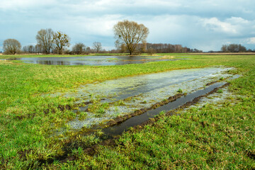 Fototapeta premium Water after winter on a green meadow and cloudy sky