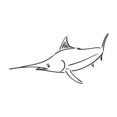 Obraz premium Hand drawn swordfish. Vector illustration in sketch style