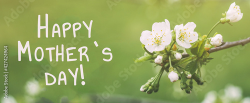 happy mothers day spring banner macro white flowers of apple tree on a green background