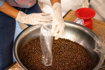 Agriculturist Scoop the roasted coffee beans into a plastic bag.