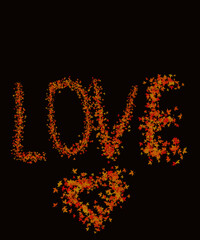 heart drawn by fallen leaves. Love. Black background.