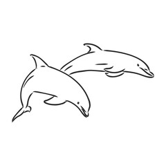 Obraz premium simple dolphin silhouette dolphin, vector sketch on a white background