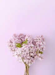 A bouquet of purple lilac flowers on a purple background. Monochromatic colors. Spring still life nature concept.