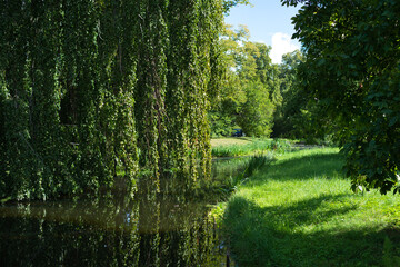 Fototapeta premium Green castle park in Potsdam