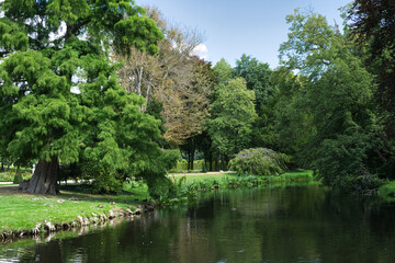 Fototapeta na wymiar Green park in Potsdam