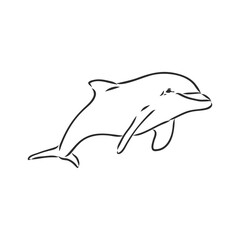 simple dolphin silhouette dolphin, vector sketch on a white background