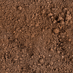 Seamless texture of loose soil. Earth. Plowed land. Peat.