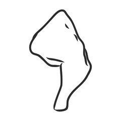 Raw chicken leg. Vintage vector color engraving illustration for poster and label. Isolated on white background. Hand drawn design element for label and poster.