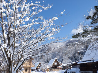 house in the mountains
