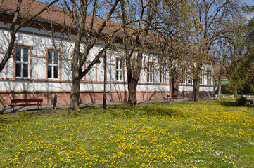 spring in Backi Petrovac, Vojvodina