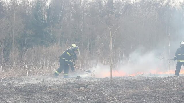 Fire in the forest. Firefighters extinguish a strip of fire. Rescuers localize the flames. The fight against burning in nature. The forest is burning in Russia.