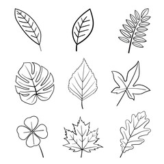Hand drawn different leaves vector