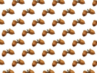 Pattern with acorns on a white background. Sample of oak acorns.