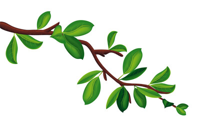 Realistic Detailed 3d Tree Branch with Green Leaves. Vector