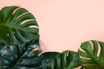 Fototapeta na wymiar Tropical palm leaves isolated on pastel pink background.