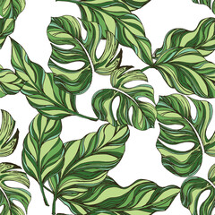 Palm. Tropical plant leaves. Tropical plants seamless pattern.Trendy colorful palm leaf, jungle background and exotic plants. 