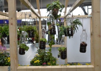 garden moderne idee pet flasche als Blumenvase recycling upcycling