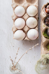 white Easter decor in the form of an eggshell in an egg box. The concept of hatched chicks and an abandoned nest in a forest overgrown with moss with dry leaves, cones and nuts.