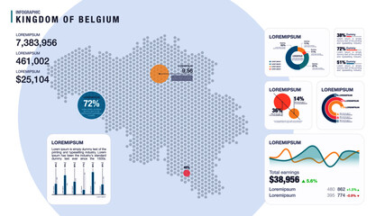 Detail infographic vector illustration. Map of Belgium and Infographic elements - bar and line charts, percents, pie charts. Dashboard theme.