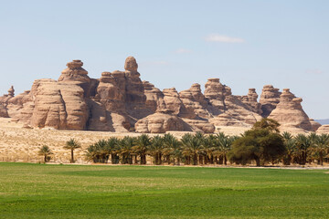 Landscape near Al Ula, Saudi Arabia with date palms - 427438326