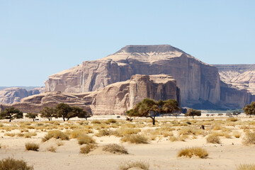 Typical landscape with eroded mountains in the desert oasis of Al Ula in Saudi Arabia - 427438728