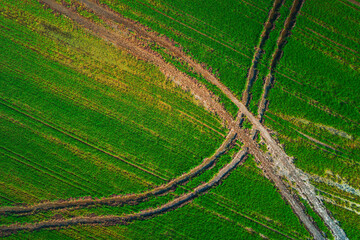 Aerial drone view over the agricultural green fields