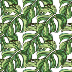 Palm. Tropical plant leaves. Tropical plants seamless pattern. Trendy colorful palm leaf, jungle background and exotic plants. 