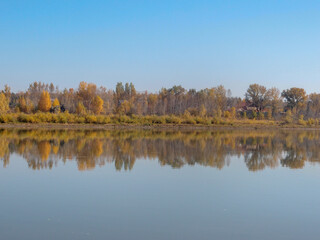 View of the autumnal bank of the Irtysh River in the Omsk Region.
