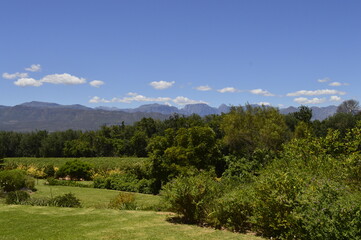 Fototapeta na wymiar Countryside in South Africa