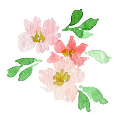 Three loose simple flowers watercolor clip art