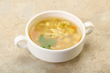 Tasty chicken soup with carrot