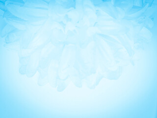 Fototapeta na wymiar Beautiful abstract light blue flowers on white background, white flower frame, blue leaves texture, gray background, valentines day, love theme, blue gradient texture