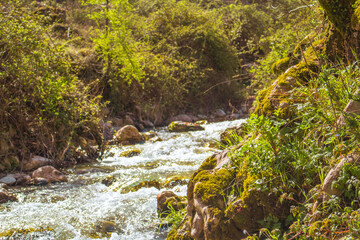 waterfall in the forest