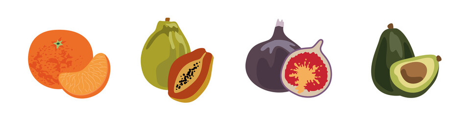 Boho style tropical fruits. Mandarin, papaya, figs, avocado. Modern style. Images for printing posters, patterns. New style, juicy inspiration. Modern vector illustration.