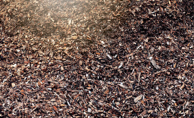 Fototapeta premium Wood chips Firewood as fuel