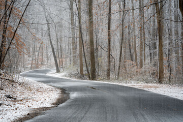 Fototapeta premium Dirt Road in Forest in Snowfall