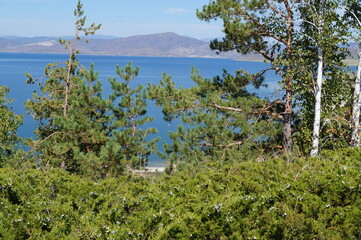 green grass and trees against the blue sea blue sky and mountains