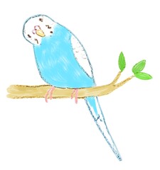blue bird sitting on branch